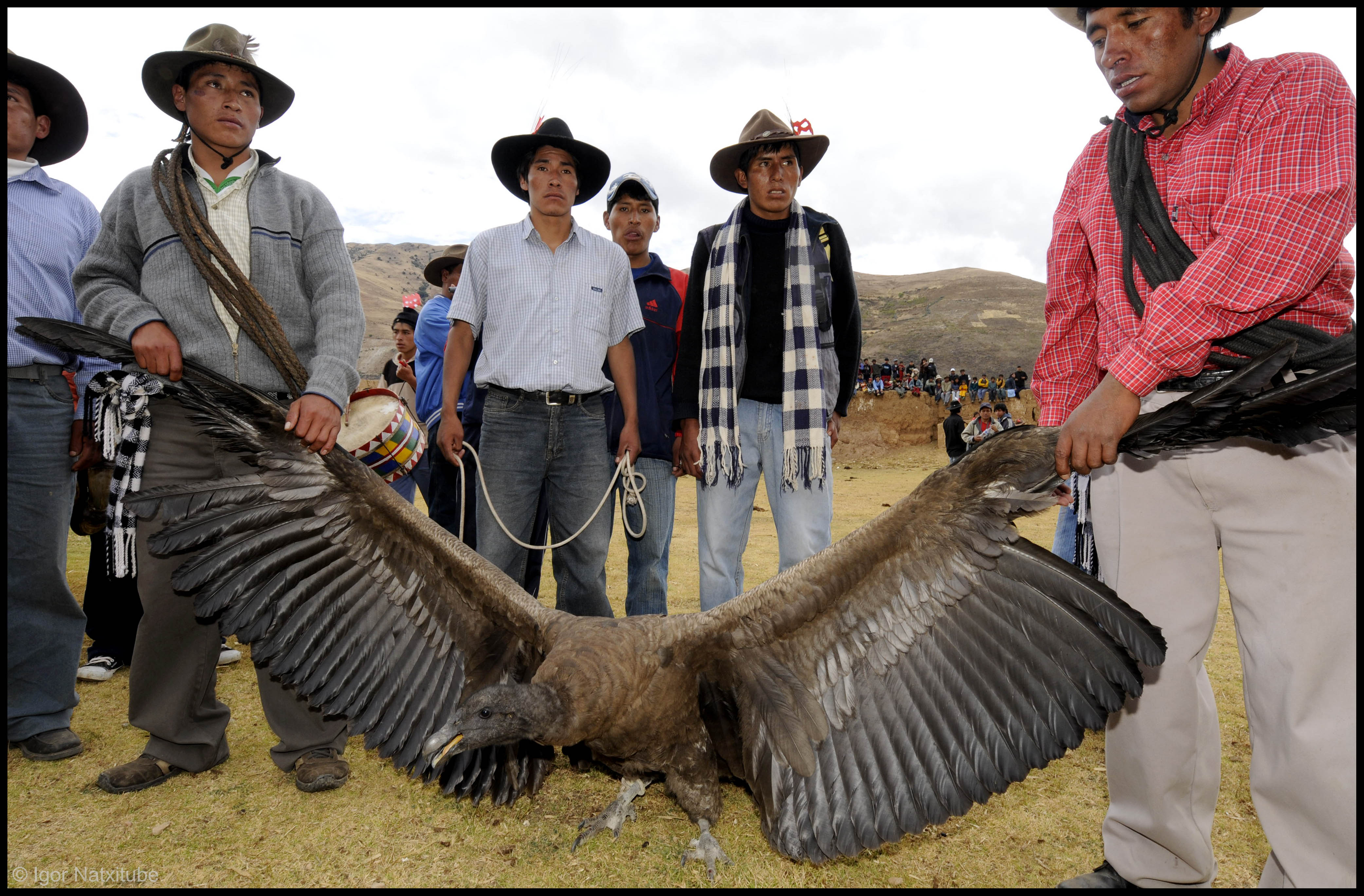 YAWAR FIESTA
COTABAMBAS
PER&Uacute;